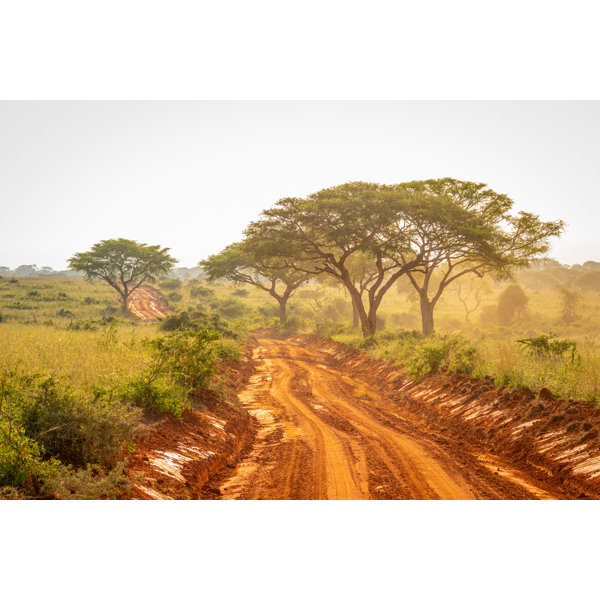 Alpen Home Wojtala Typical Dirt Road Wrapped Canvas Photograph